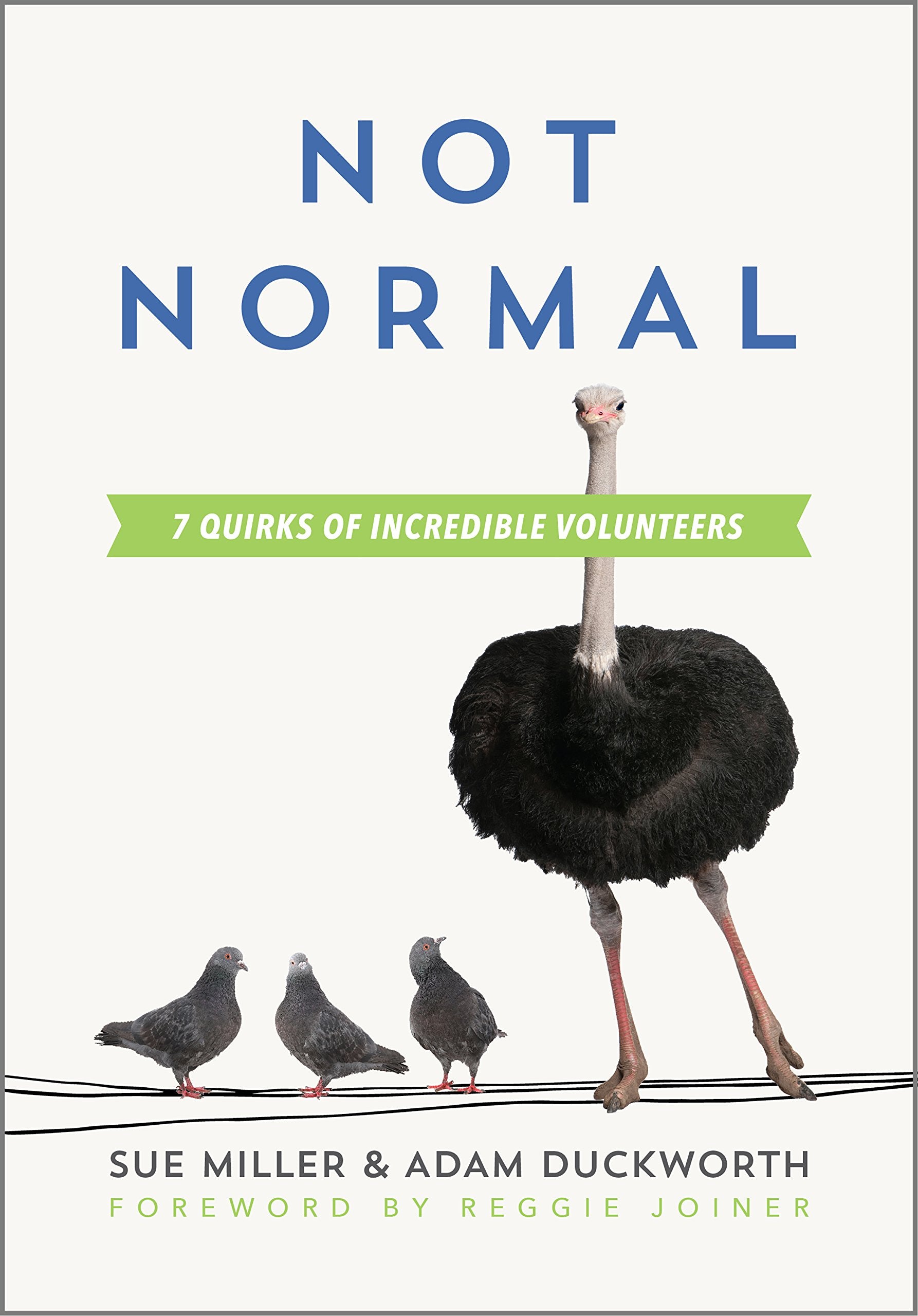 Not Normal: Seven Quirks of Incredible Volunteers Books