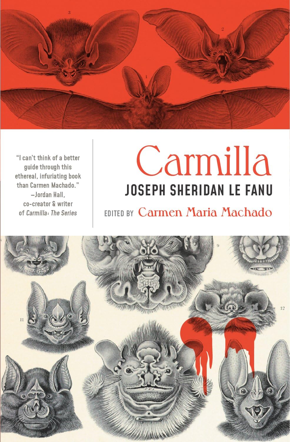Product Image: Carmilla