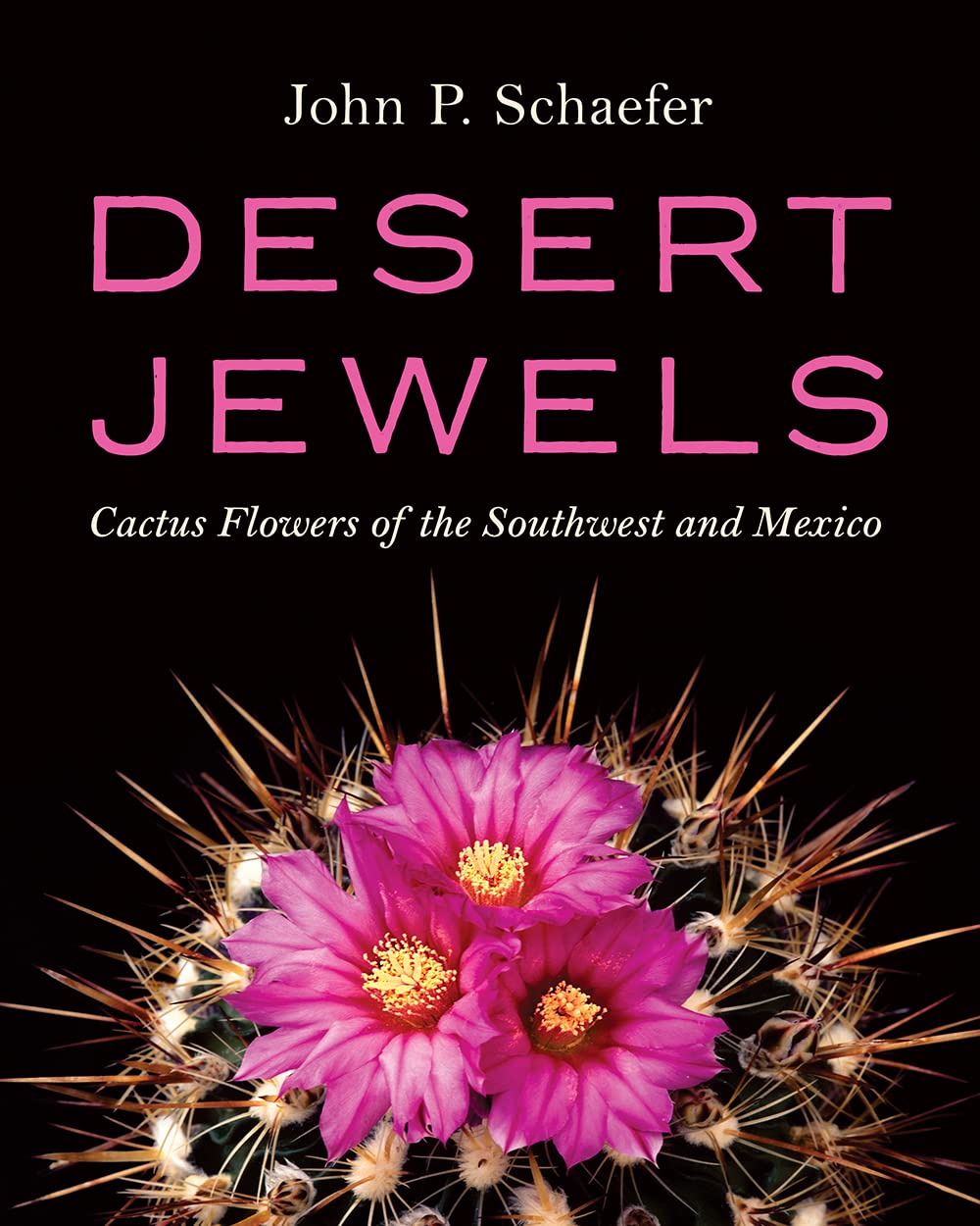 Desert Jewels: Cactus Flowers of the Southwest and Mexico Mathematics