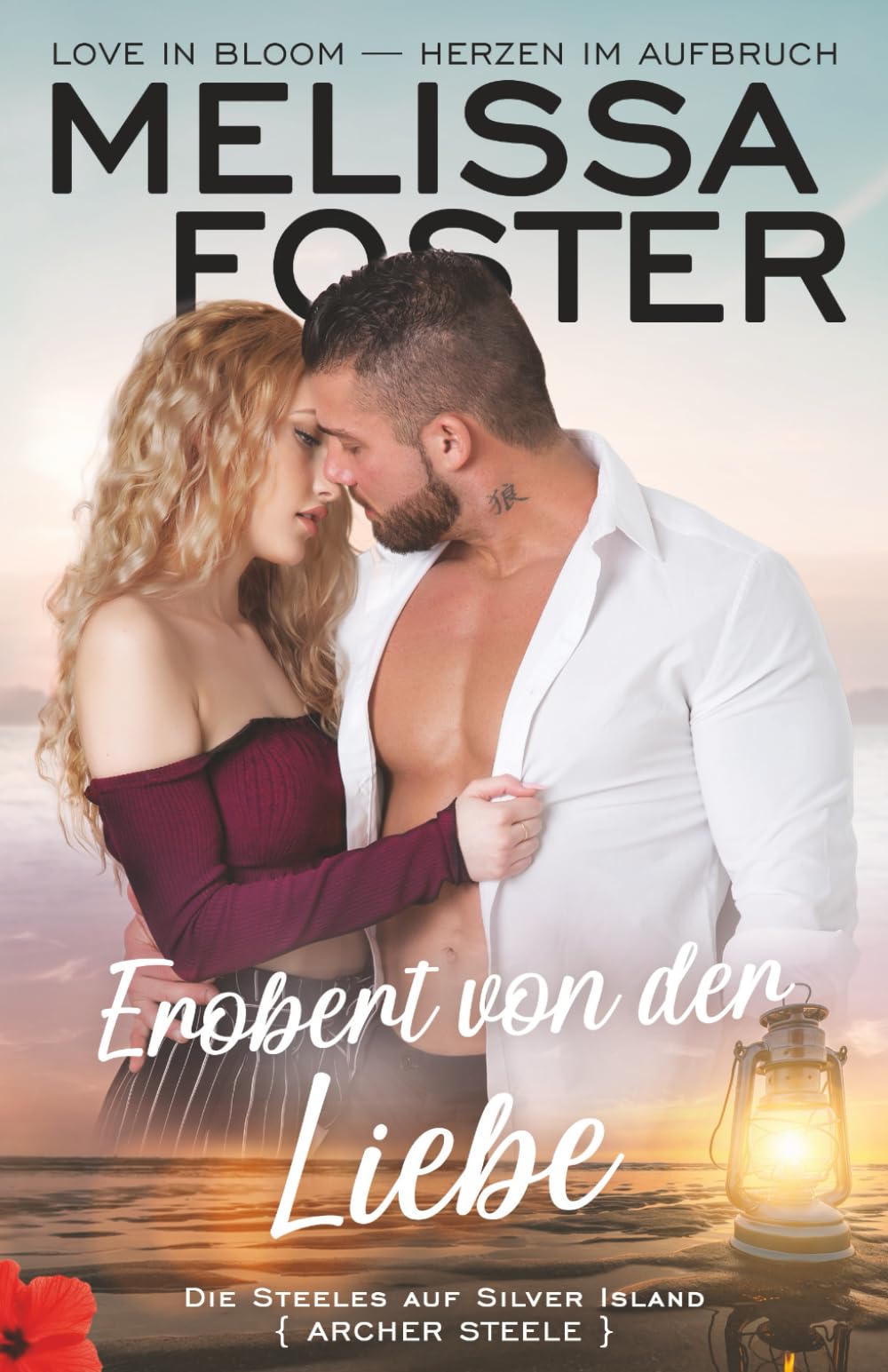 Erobert von der Liebe: Archer Steele (Die Steeles auf Silver Island, Band 3) Contemporary literature
