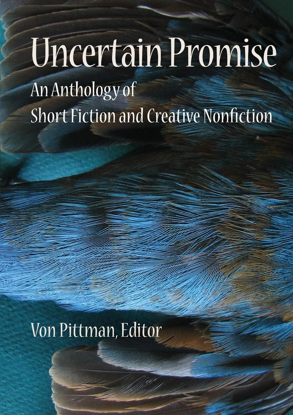 Uncertain Promise: An Anthology of Fiction and Creative Nonfiction Contemporary literature