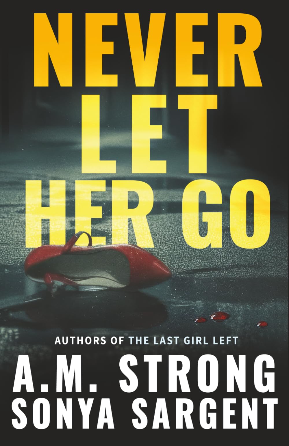 Never Let Her Go (Patterson Blake FBI Mystery Thrillers, Band 4) Suspense & Thrillers