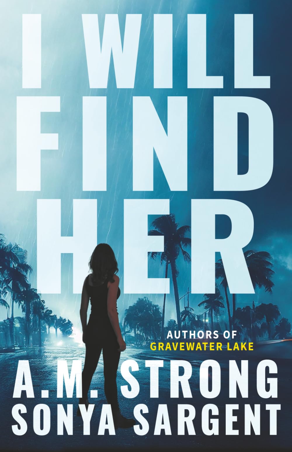 I Will Find Her (Patterson Blake FBI Mystery Thrillers, Band 6) Suspense & Thrillers