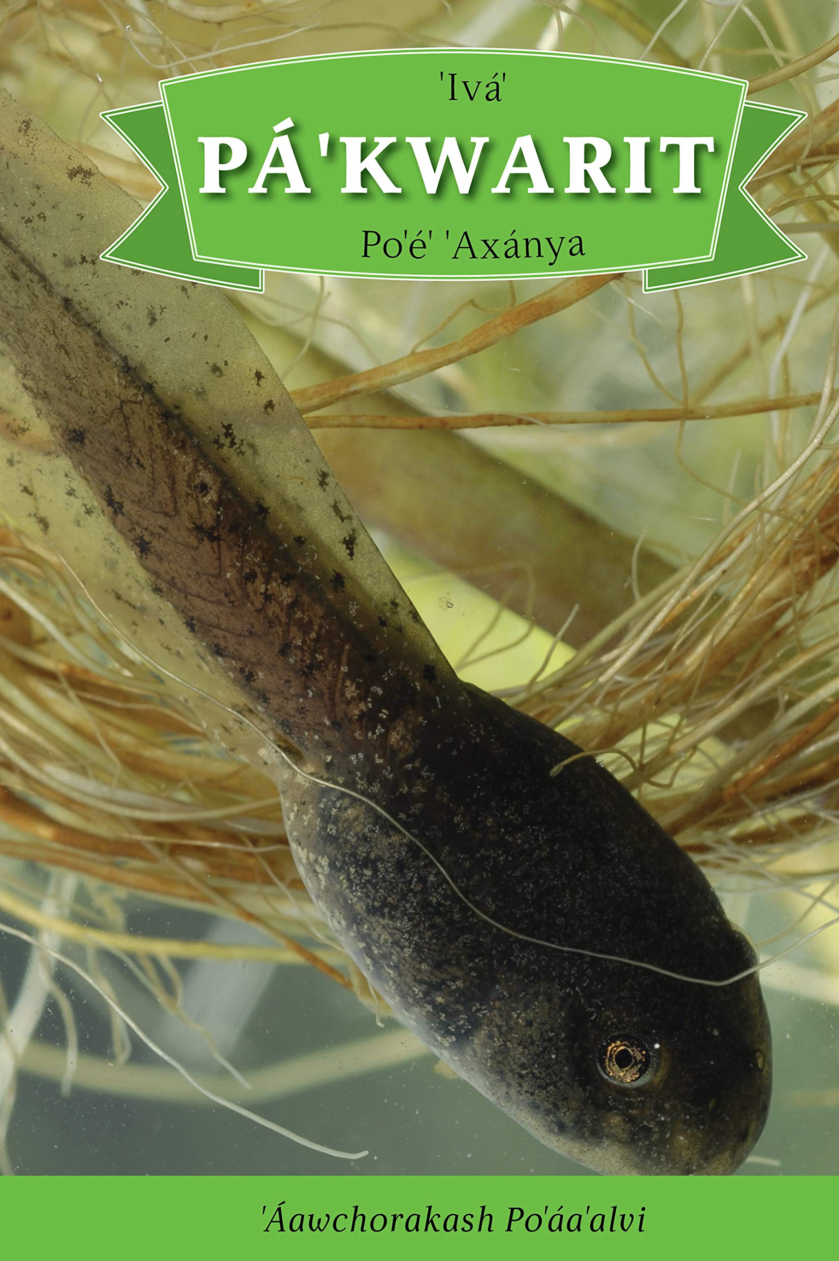 Iva' Pa'kwarit Po'e' 'axanya: English Translation: How the Tadpole Got Its Legs Mathematics