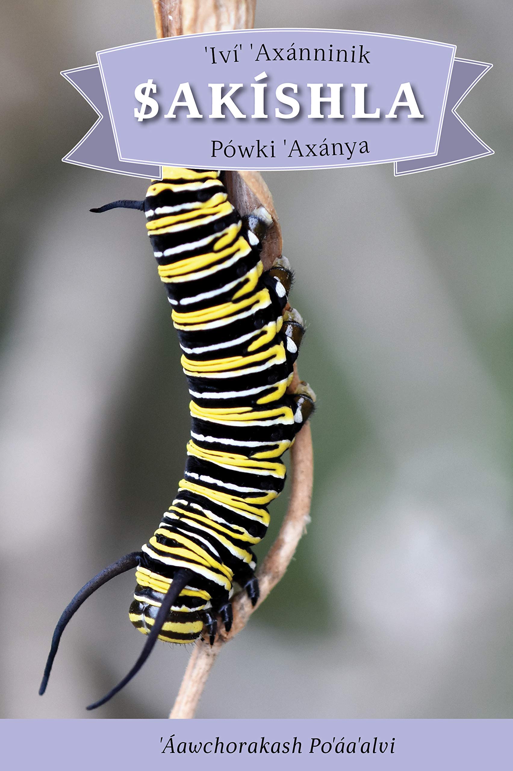 IVI' Axanninik Sakishla Powki 'axanya: English Translation: How the Caterpillar Got Its Wings Mathematics