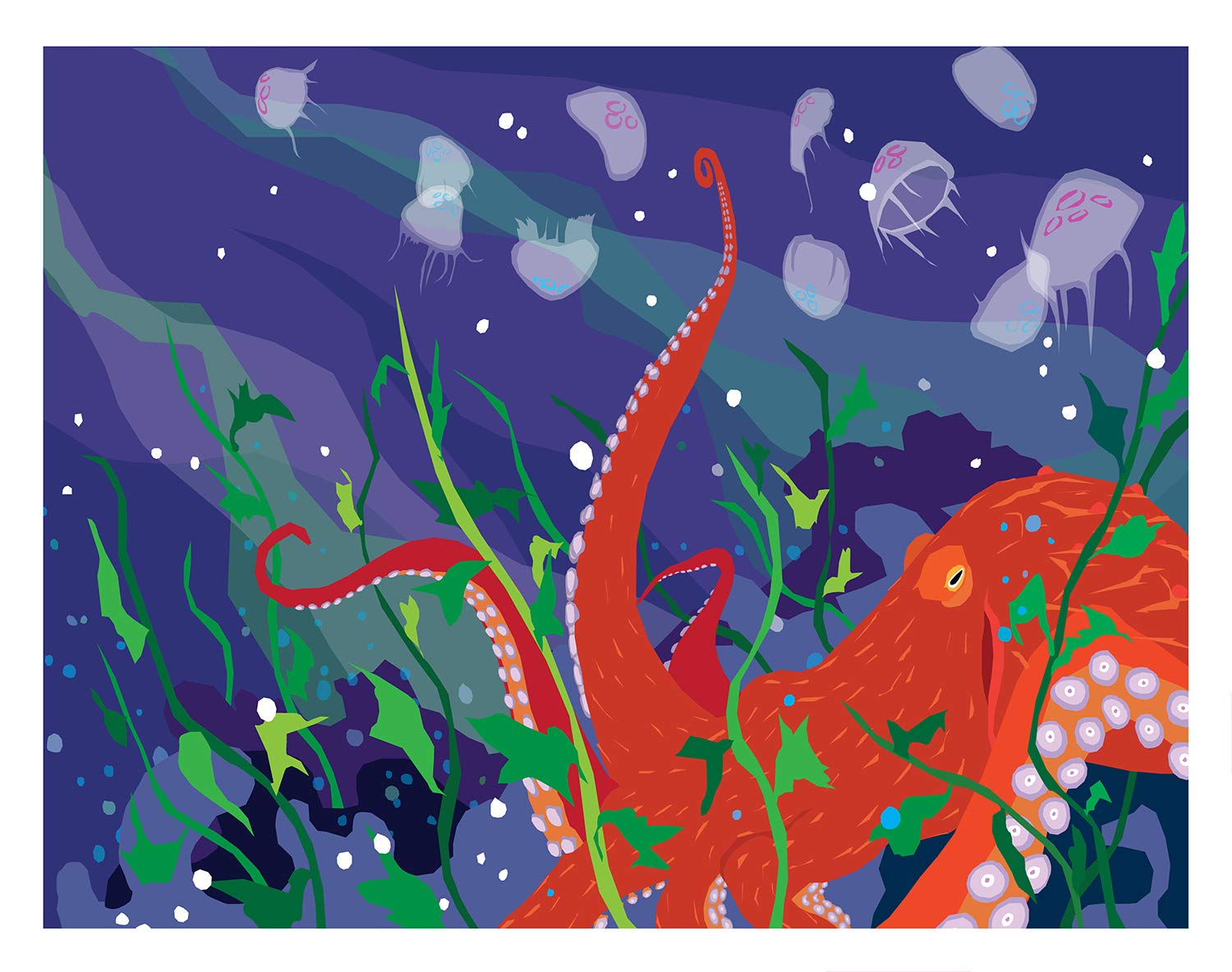 Puget Sound Pacific Octopus Art Print Mathematics