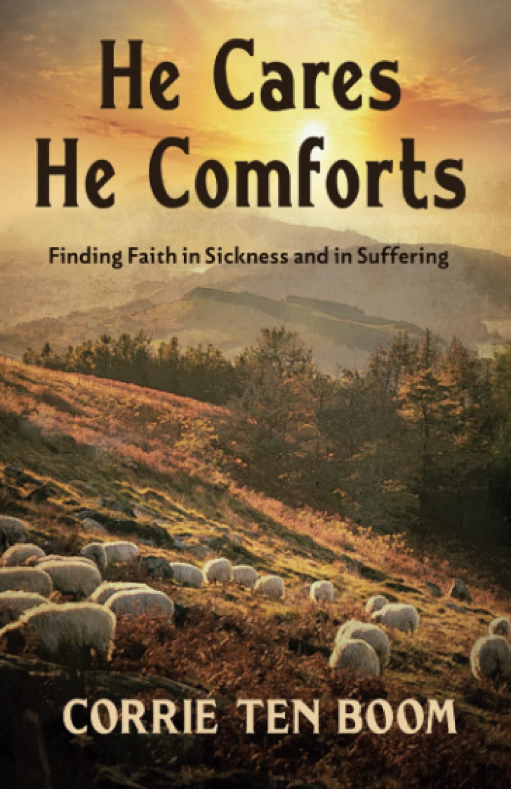 He Cares, He Comforts: Finding Faith in Sickness and in Suffering Politics & Society