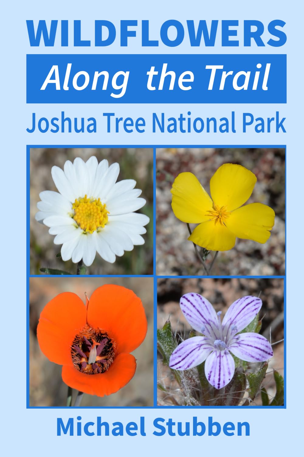 Wildflowers Along the Trail: Joshua Tree National Park Mathematics