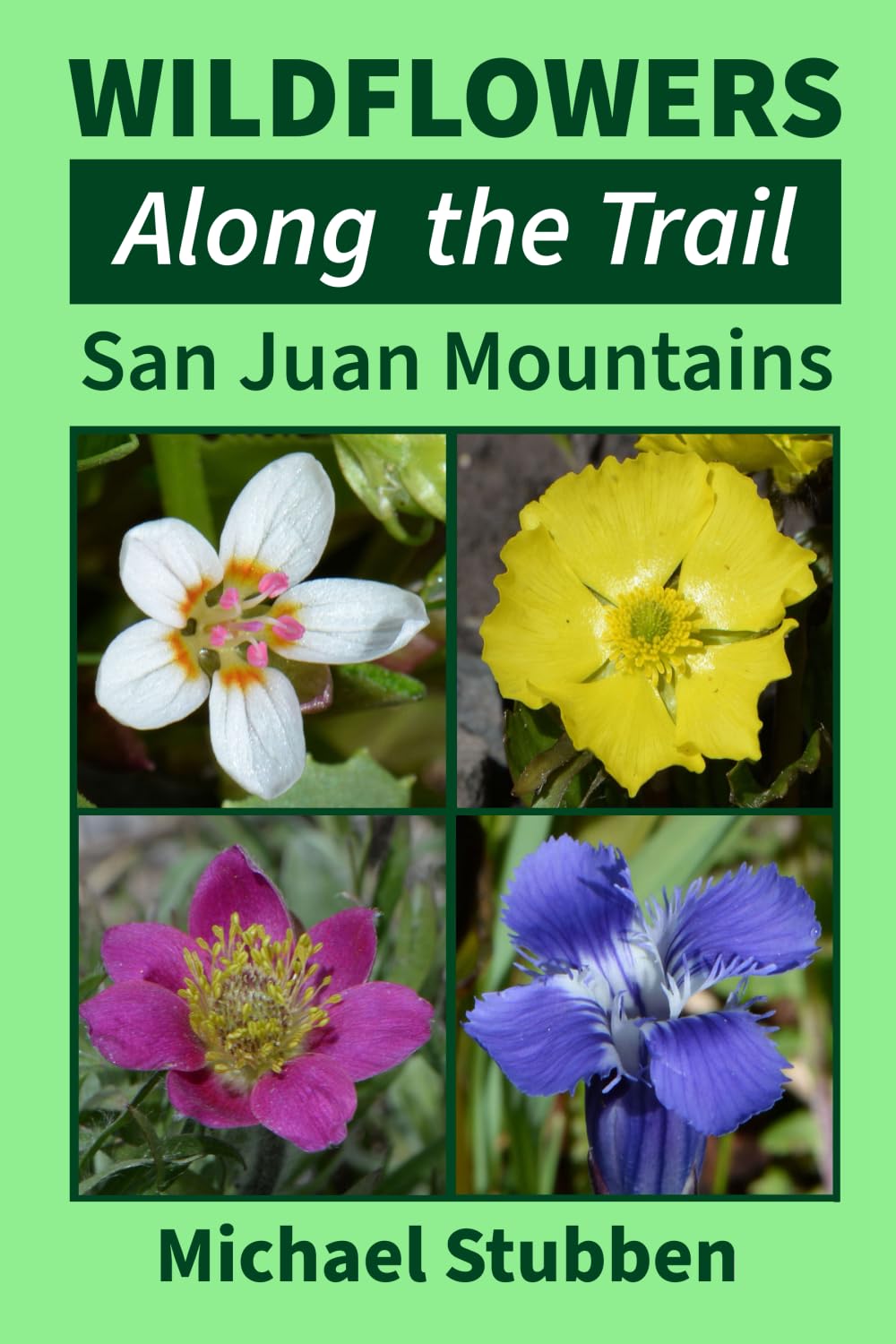 Wildflowers Along The Trail: San Juan Mountains Mathematics