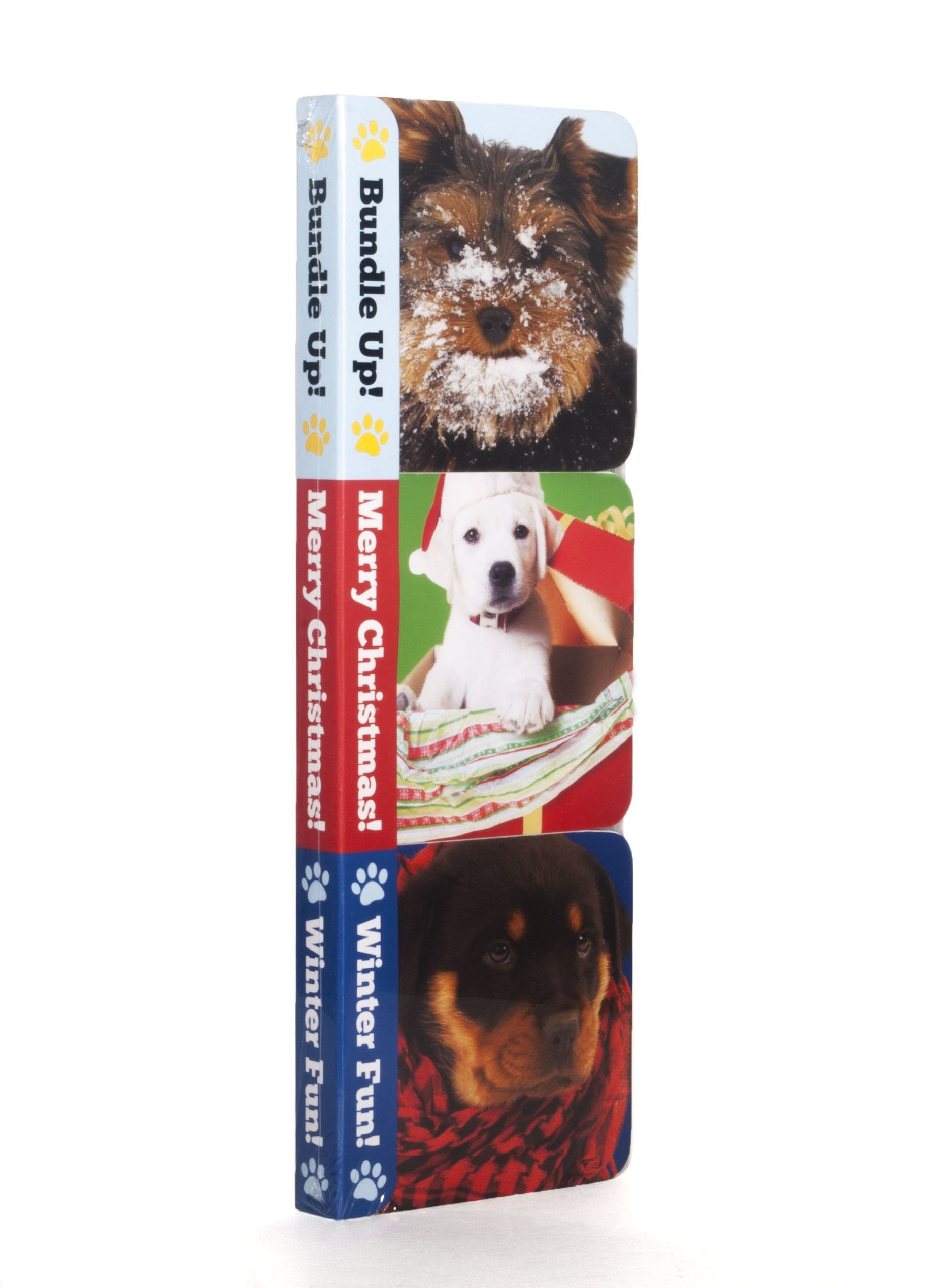 Winter Puppies Boxy Book Set Non-fiction