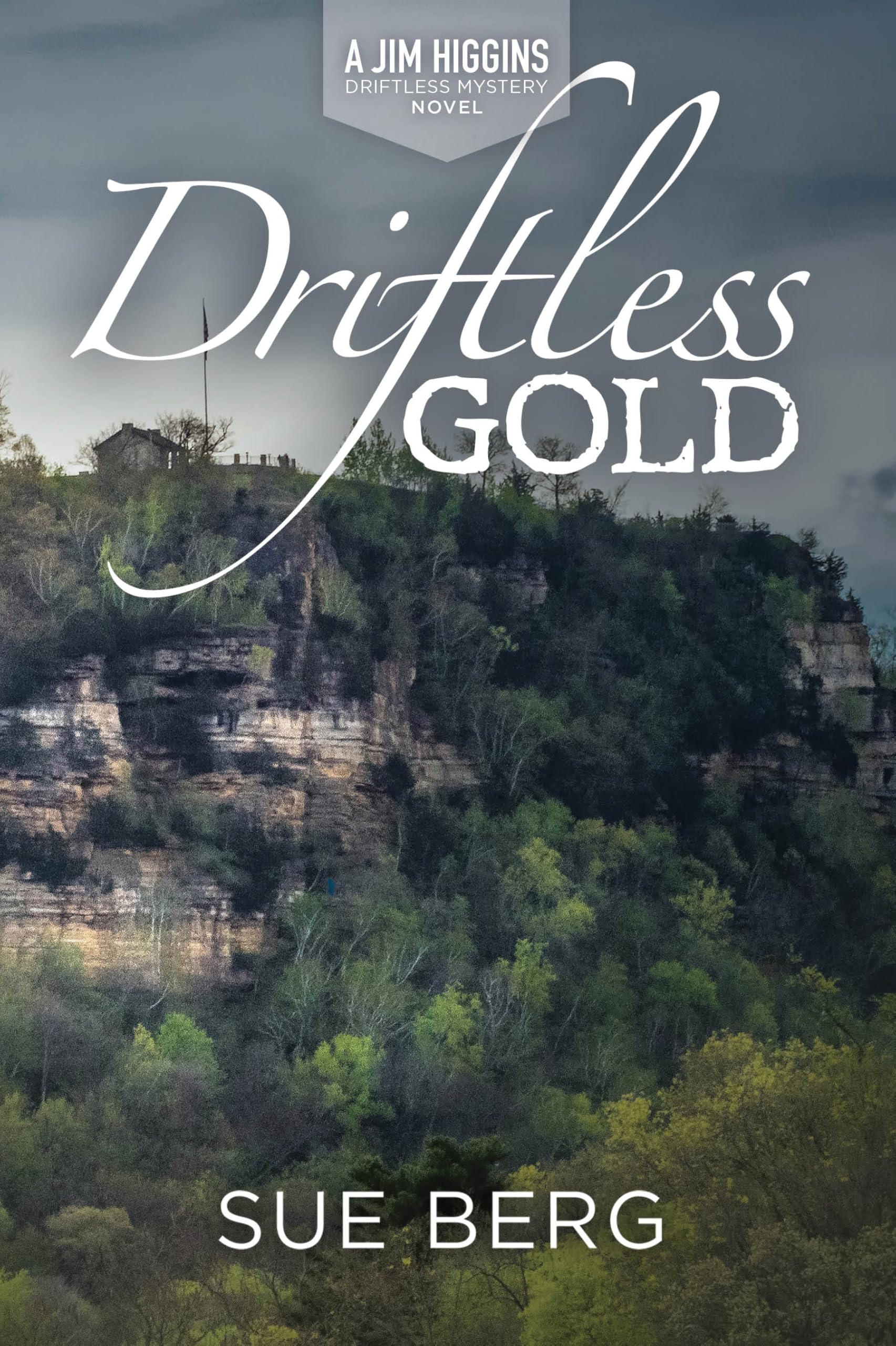 Driftless Gold (A Jim Higgins Driftless Mystery, Band 1) Action & Adventure