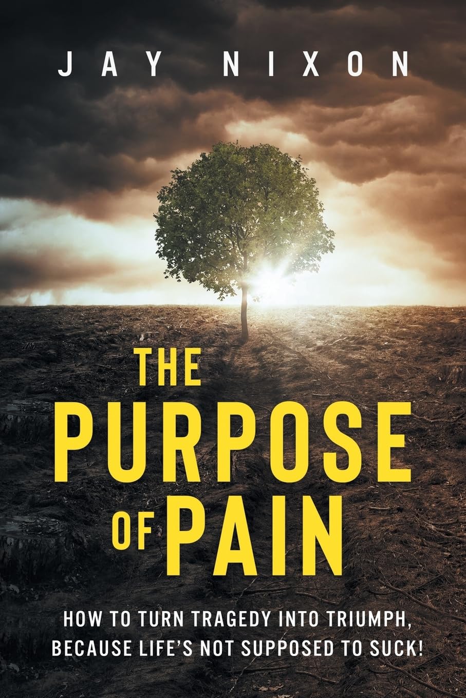 The Purpose of Pain: How to Turn Tragedy into Triumph, Because Life’s Not Supposed to Suck! Business, Finance & Career