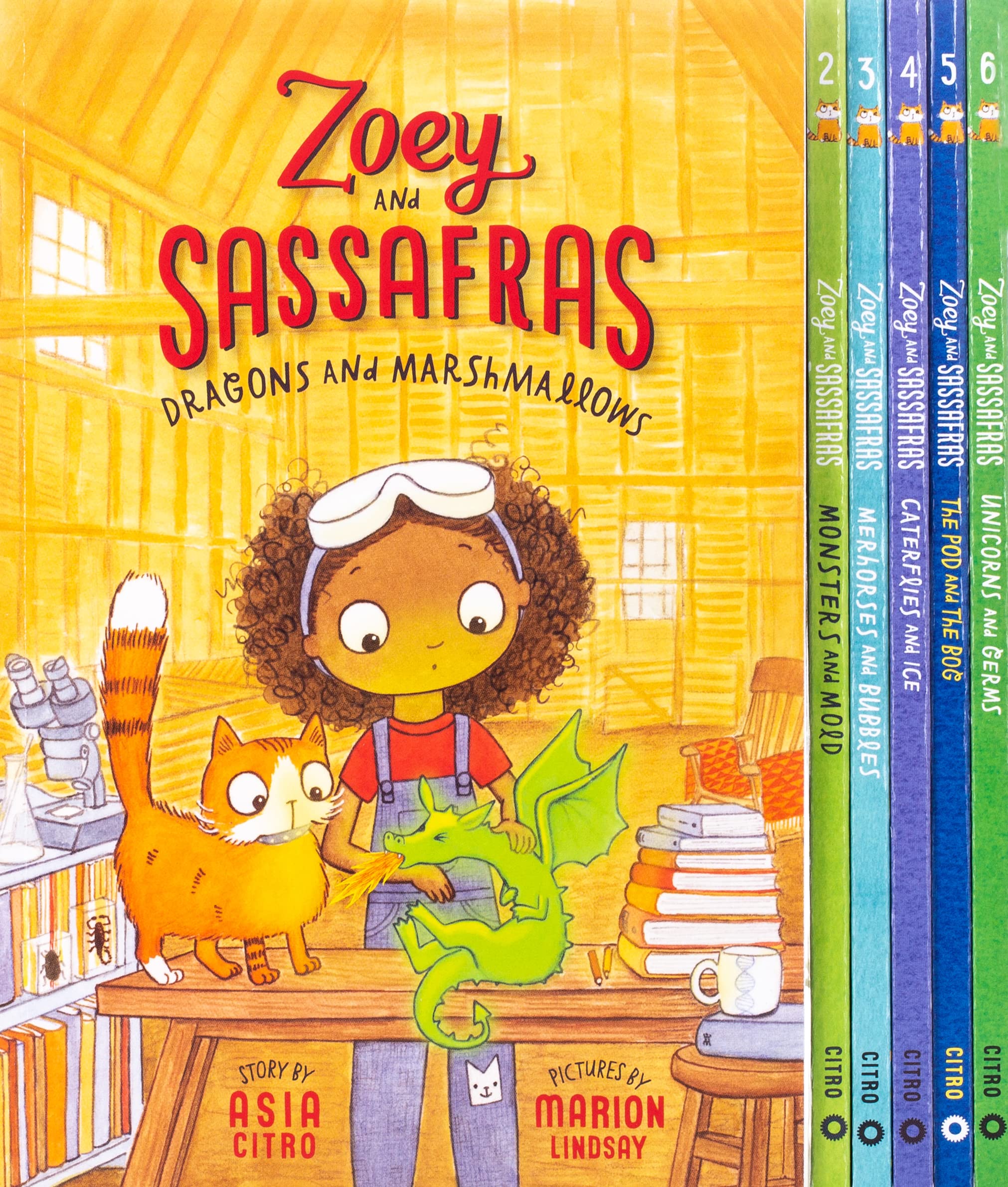 Zoey and Sassafras Books 1-6 Pack Novels & Short Stories