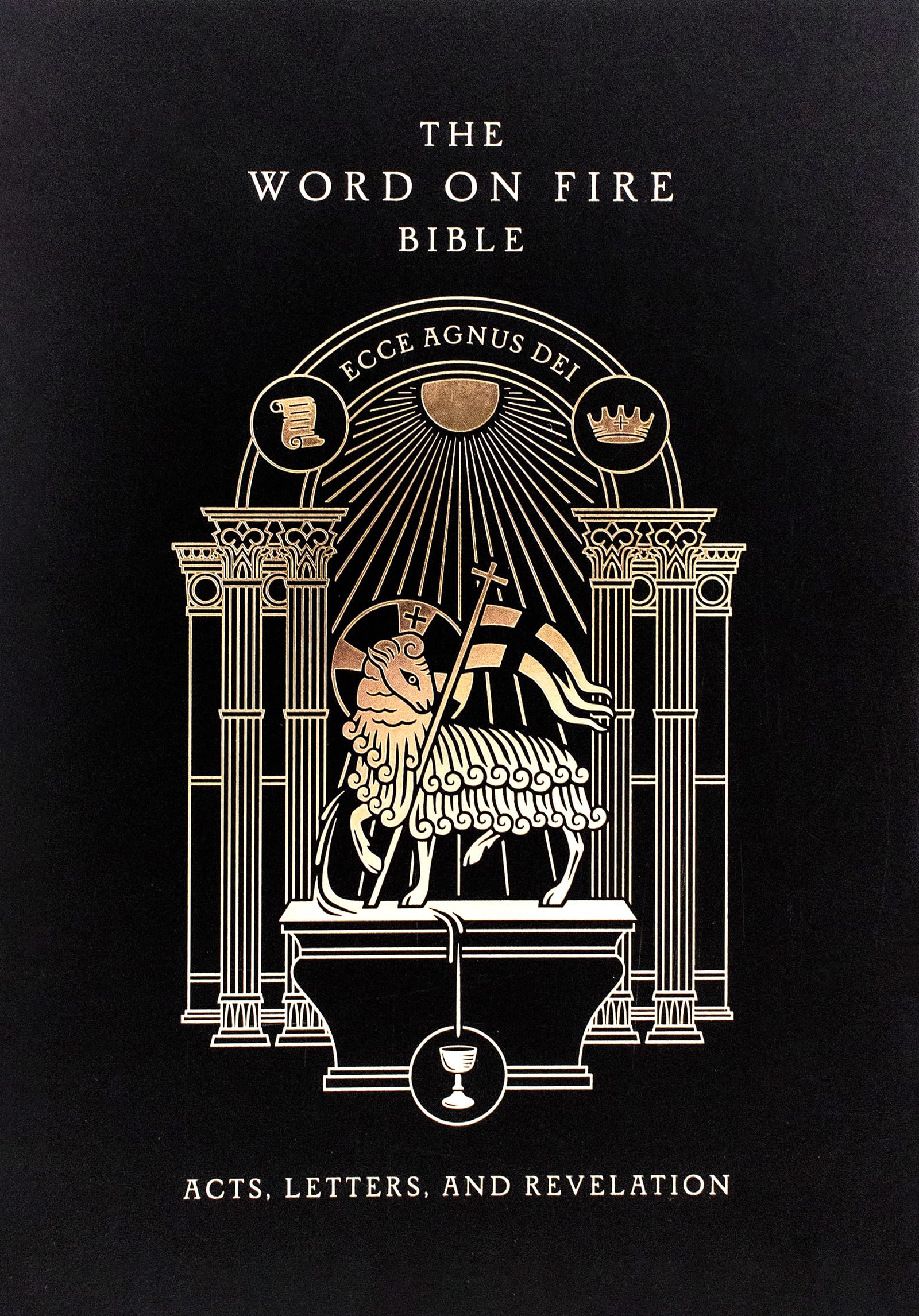 The Word on Fire Bible: Acts, Letters, and Revelation Volume 2 Religion & Esotericism