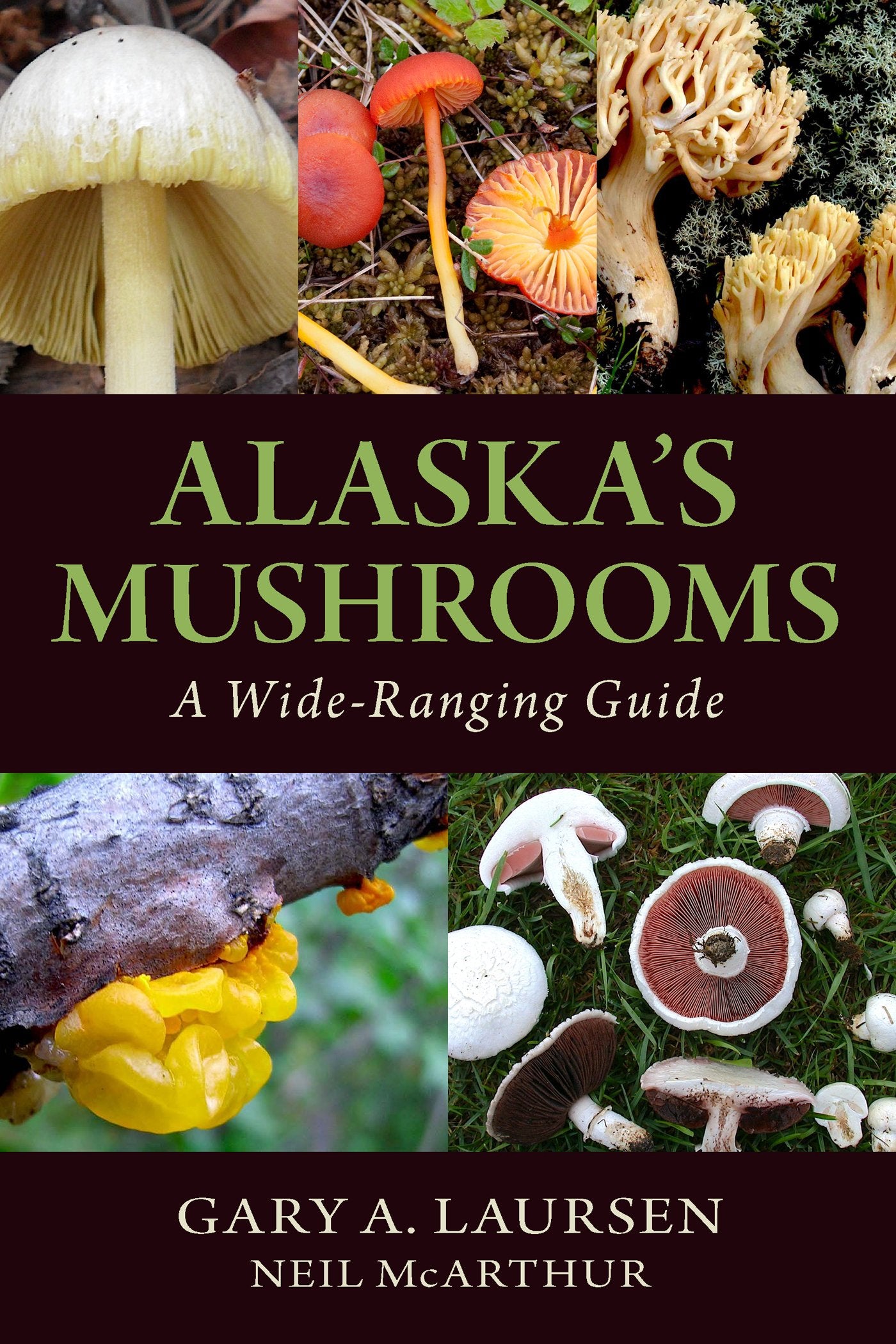 Alaska's Mushrooms: A Wide-Ranging Guide Mathematics