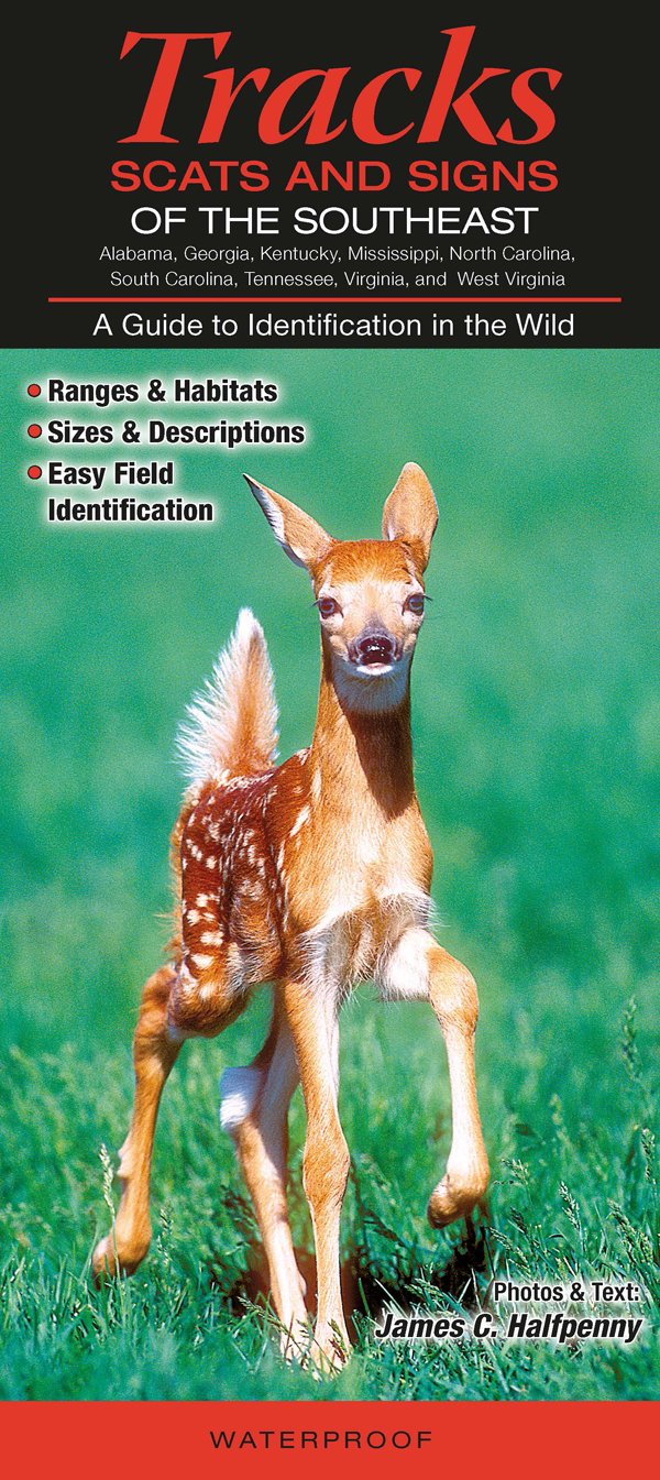 Mammals of the Southeast Tracks, Scats and Signs: Alabama, Georgia, Kentucky, Mississippi, North Carolina, South Carolina, Tennessee, Virginia, and We Mathematics