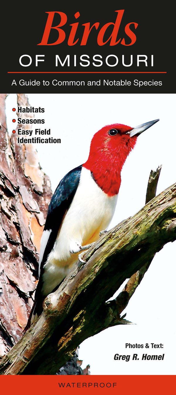 Birds of Missouri Computer Science