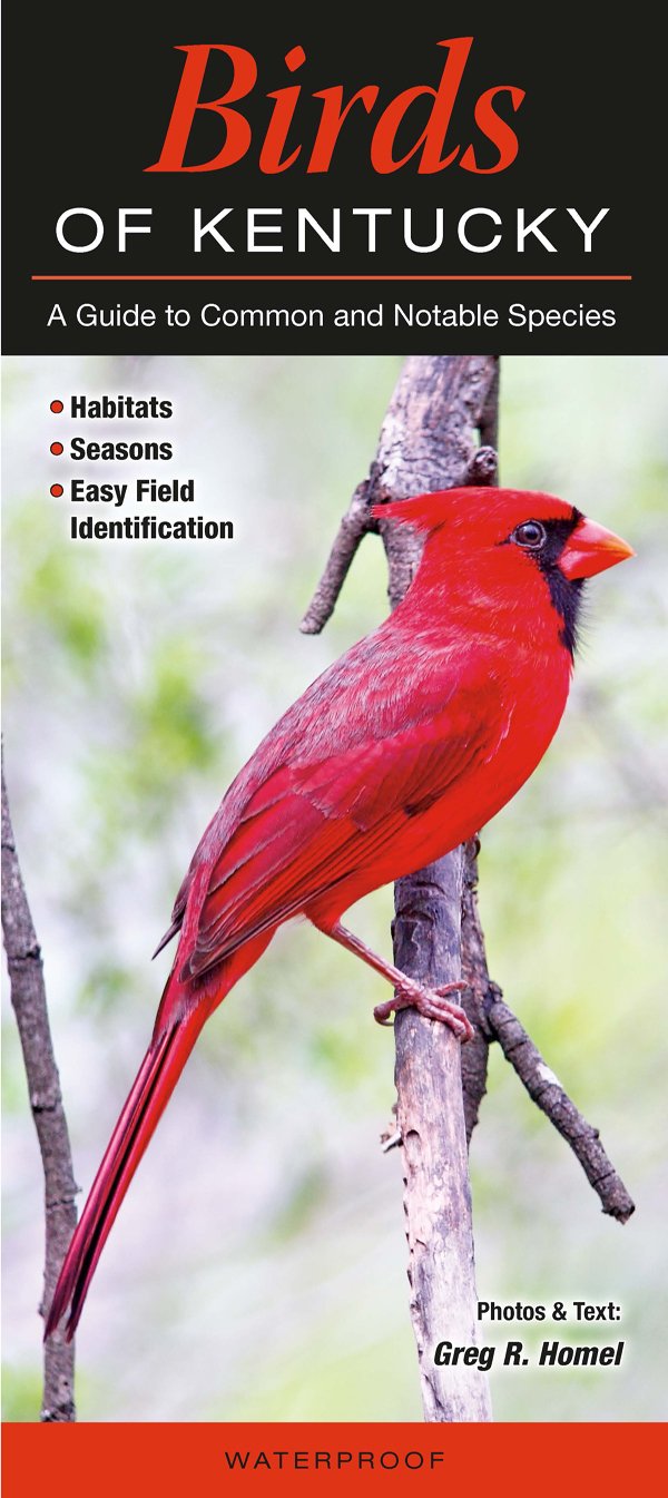 Birds of Kentucky Computer Science
