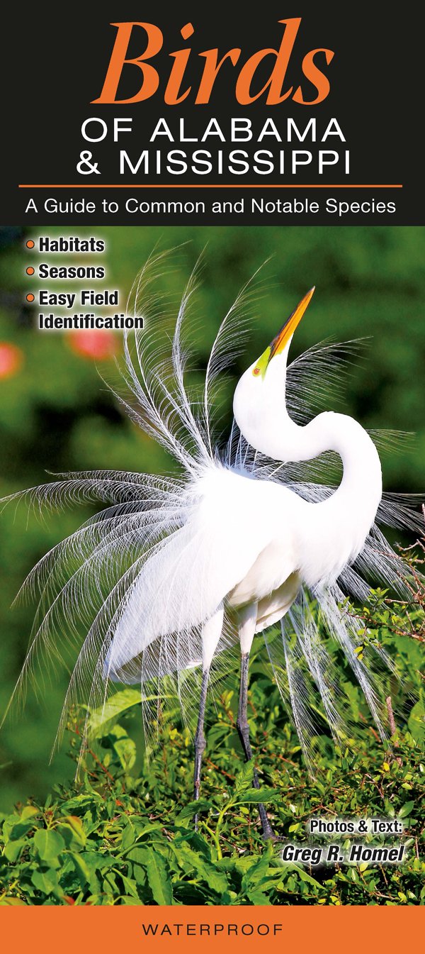 Birds of Alabama and Mississippi (Quick Reference Guides) Computer Science