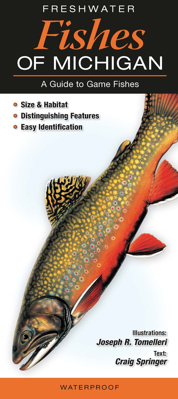 FRESHWATER FISHES OF MICHIGAN: A Guide to Game Fishes Mathematics