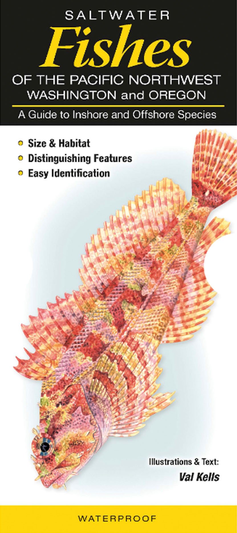 Saltwater Fishes of the Pacific Northwest Washington and Oregon: A Guide to Inshore and Offshore Species Mathematics