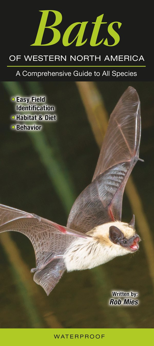 Bats of Western North American: A Comprehensive Guide to All Species Mathematics
