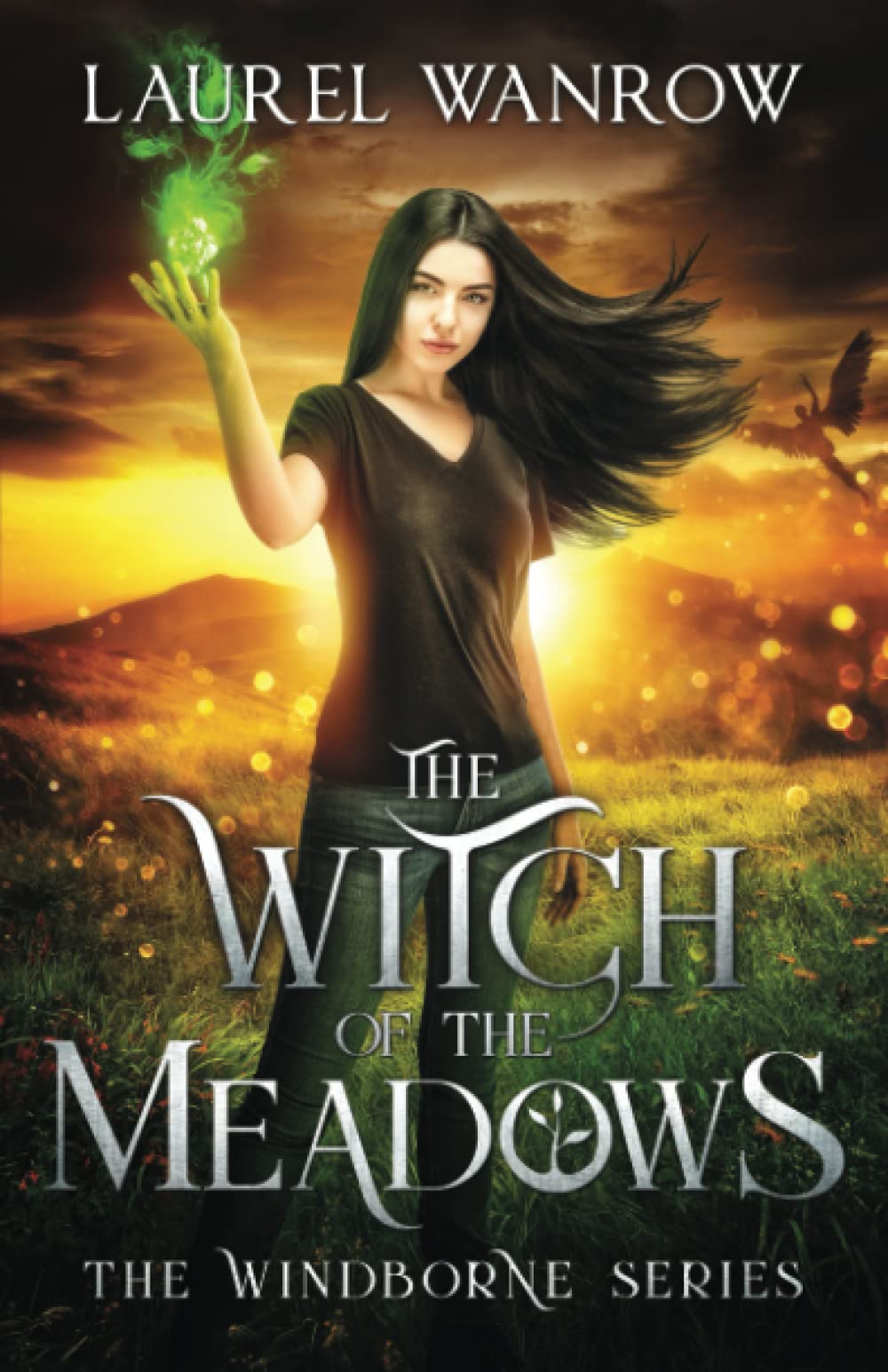 The Witch of the Meadows (The Windborne Series, Band 1) Business & Technology