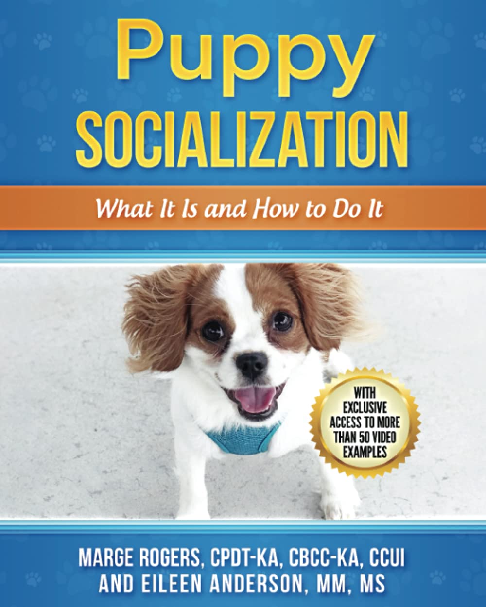 Puppy Socialization: What It Is and How to Do It Pets