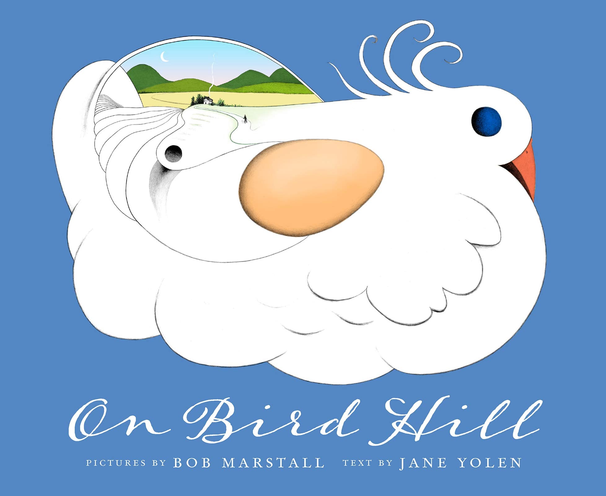 On Bird Hill (On Bird Hill and Beyond, Band 1) Non-fiction