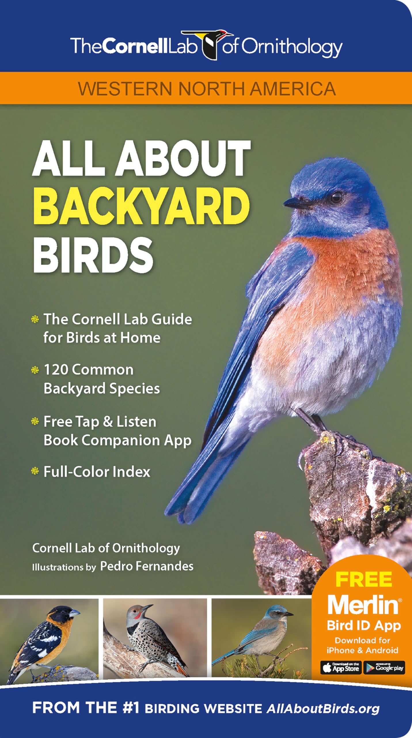 All about Backyard Birds- Western North America (Cornell Lab of Ornithology) Mathematics