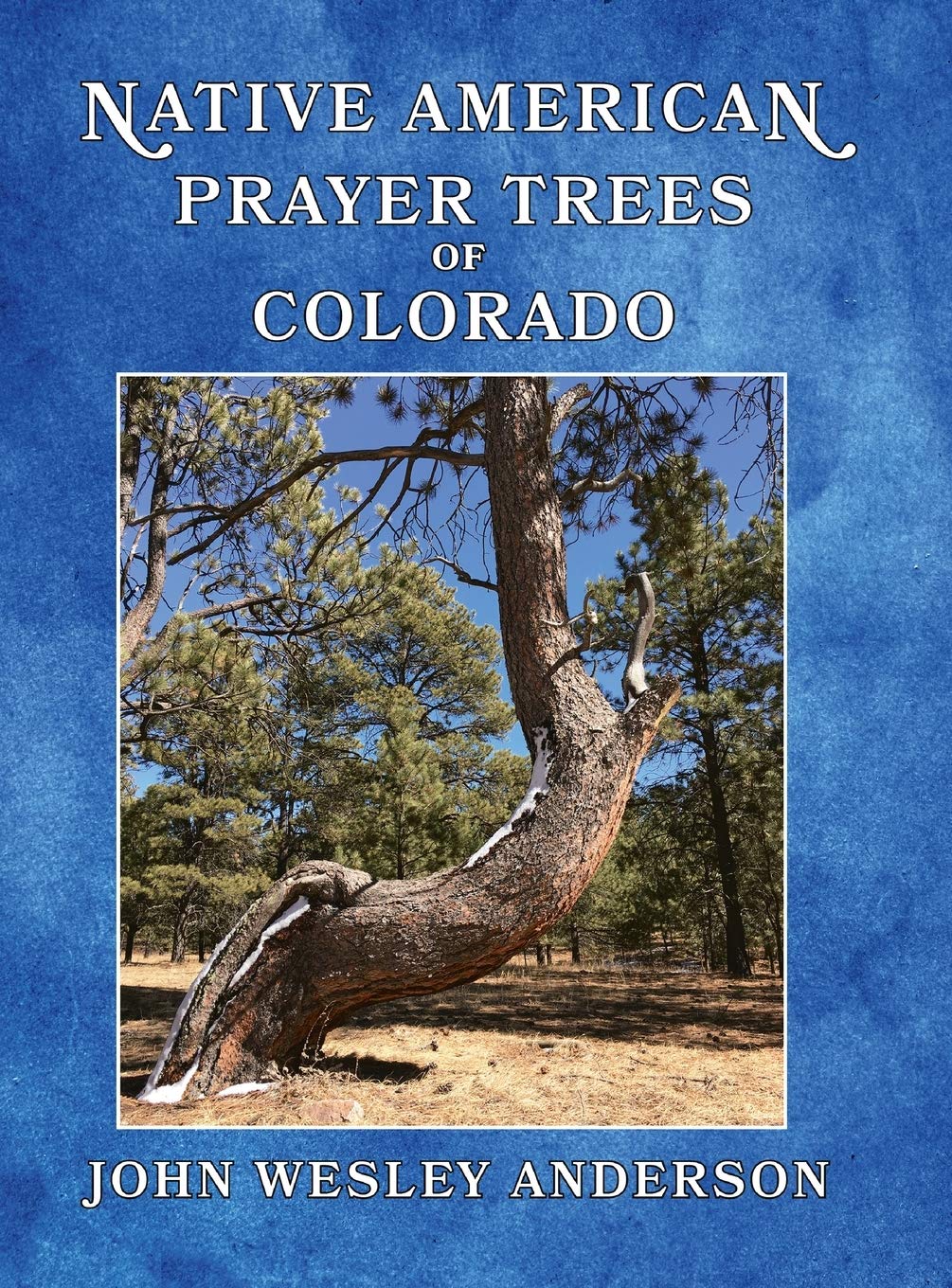Native American Prayer Trees of Colorado Politics & History