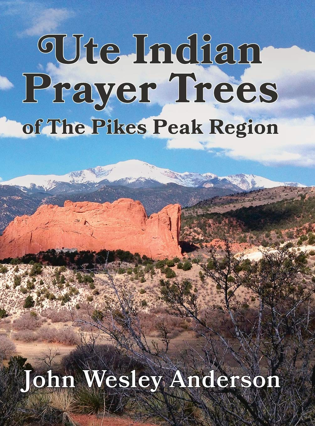Ute Prayer Trees of the Pikes Peak Region Mathematics