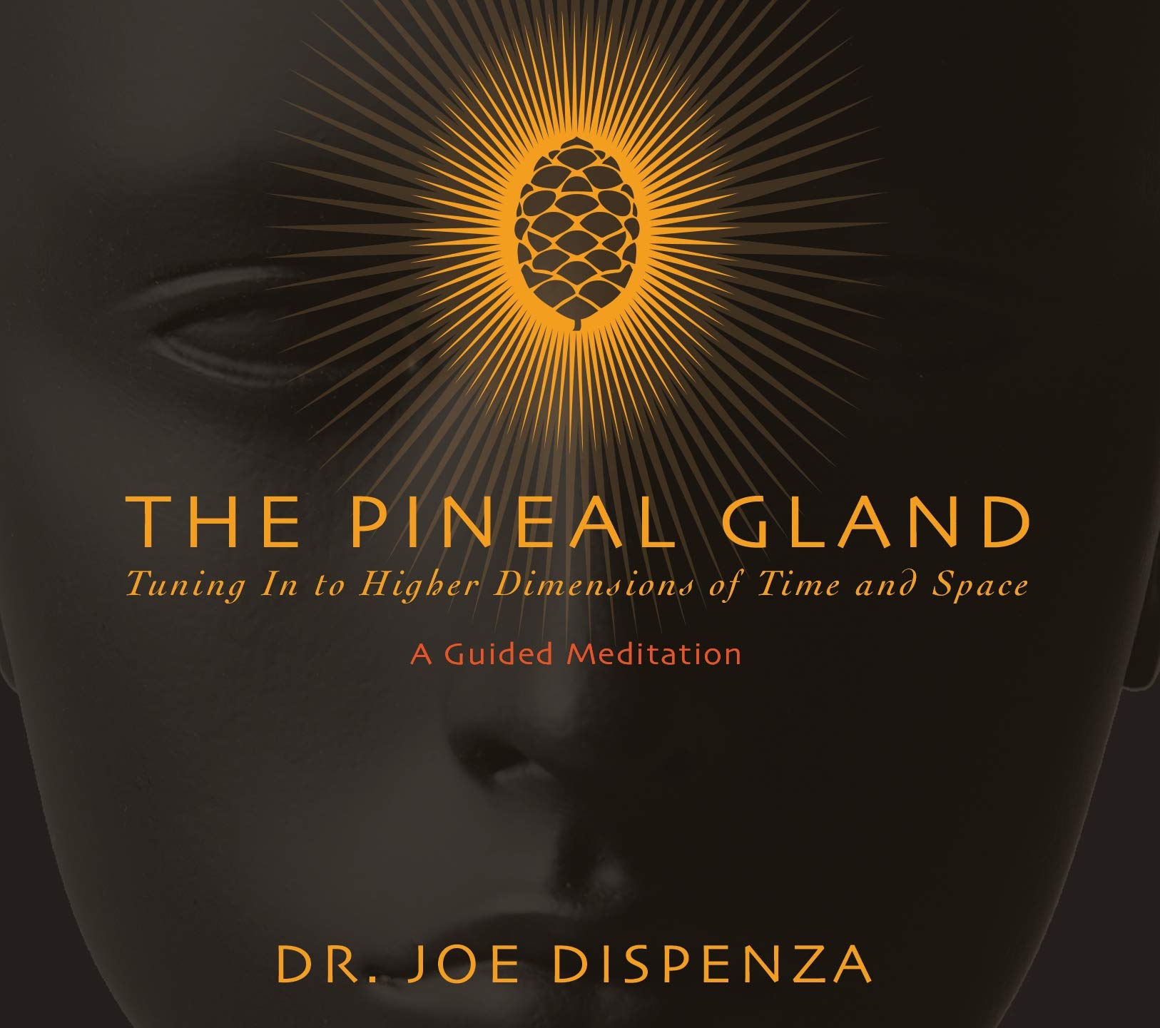 The Pineal Gland: Tuning In to Higher Dimensions of Time and Space Books