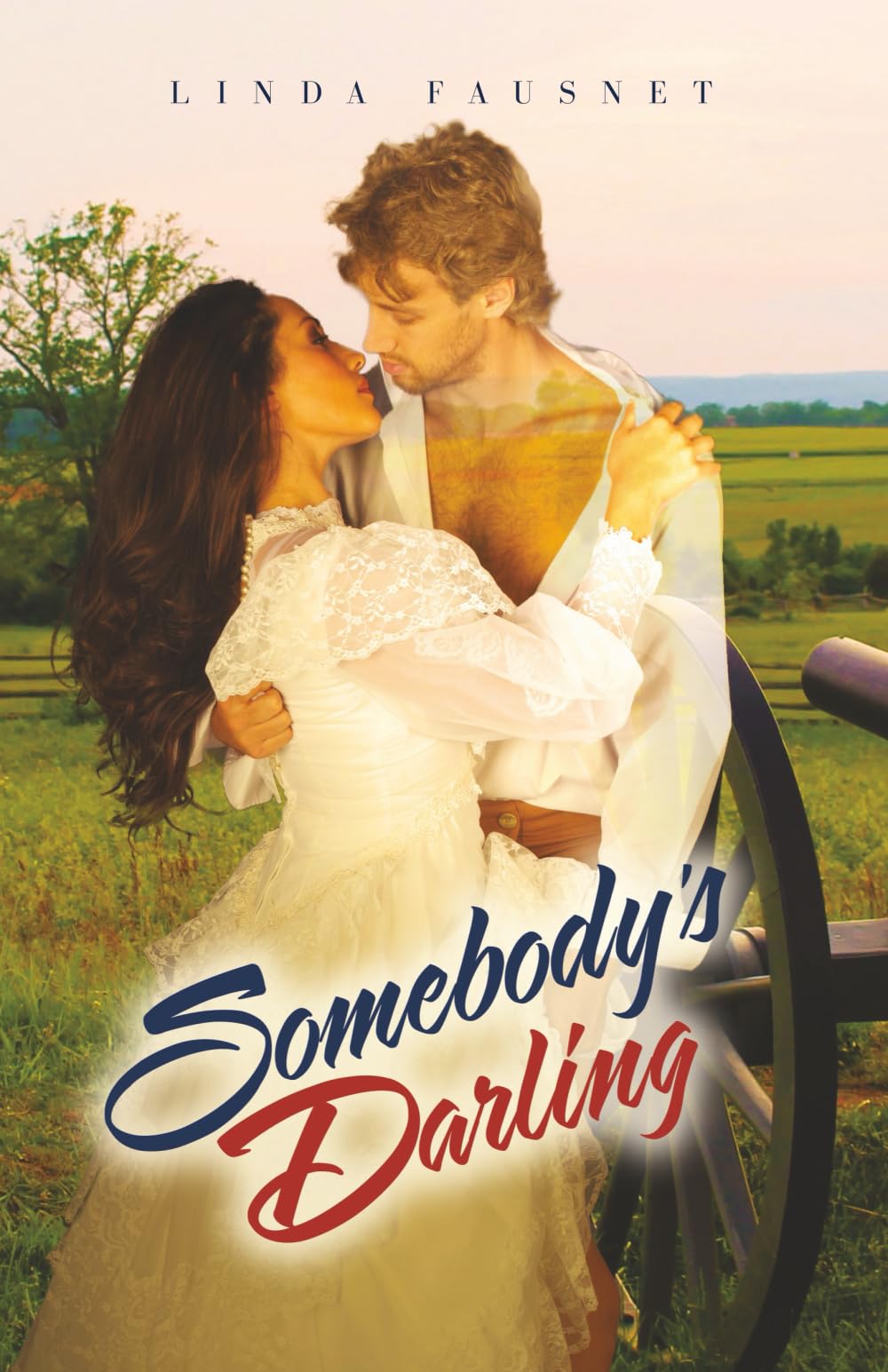 Somebody's Darling (The Gettysburg Ghost Series, Band 1) Contemporary Romance