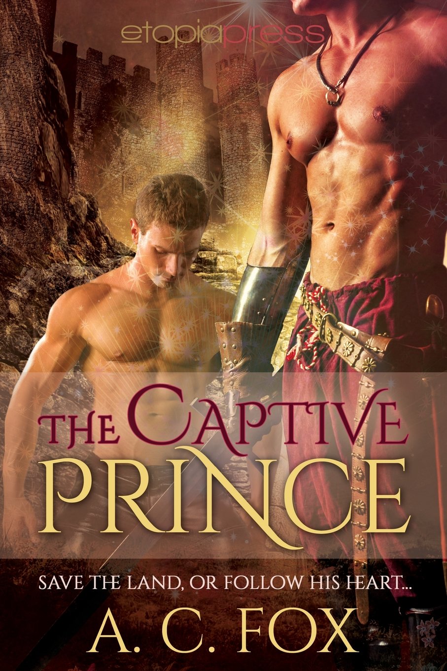 The Captive Prince (The Warriors of Love & Magic, Band 2) Contemporary literature