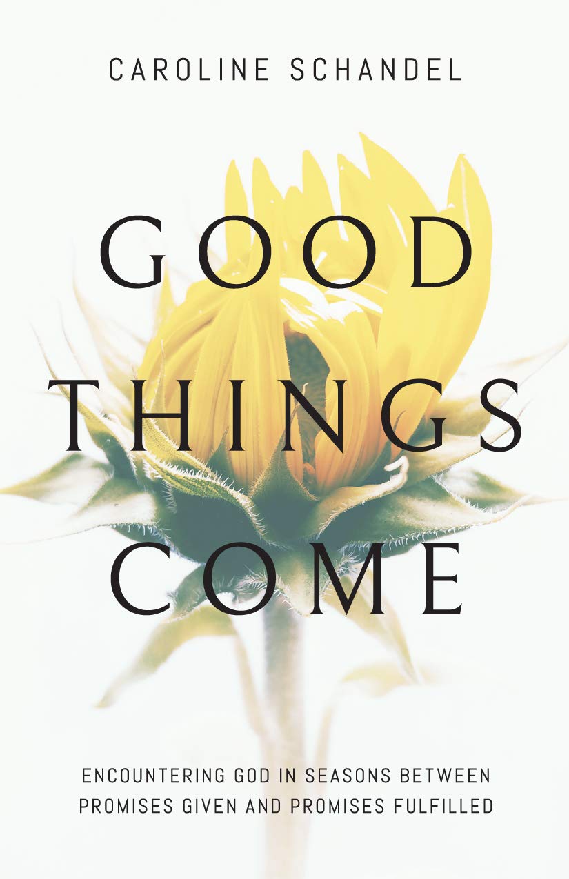 Good Things Come: Encountering God in Seasons Between Promises Given and Promises Fulfilled Books