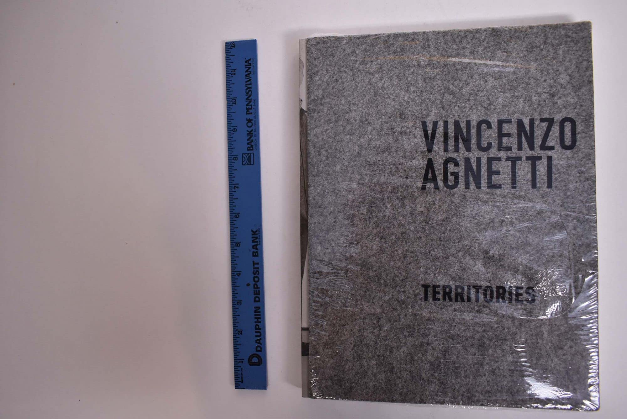 Vincenzo Agnetti: Territories Books