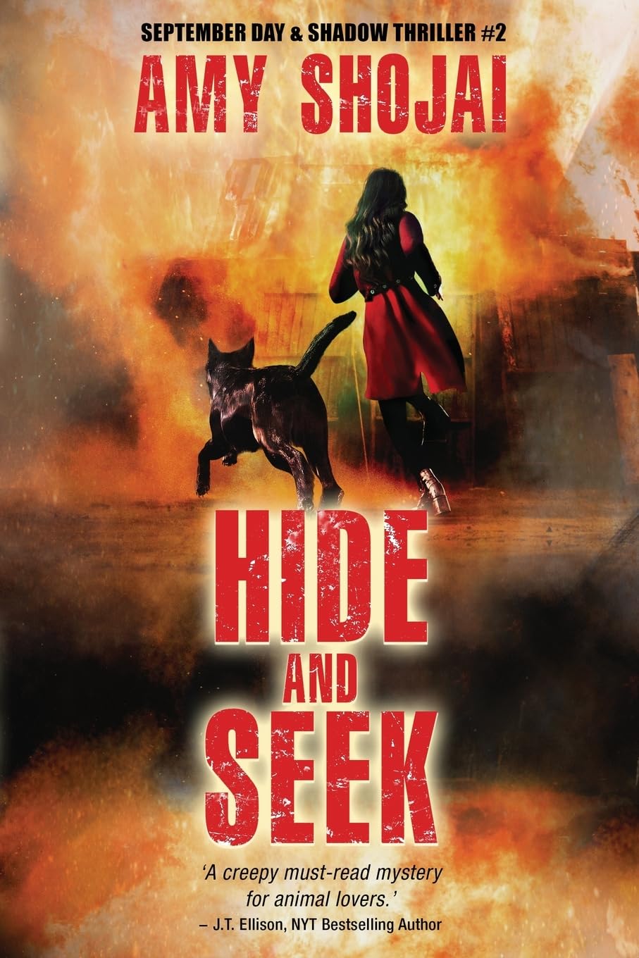 Hide And Seek (The September Day Series, Band 2) Action & Adventure