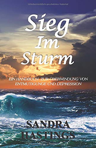 Sieg im Sturm: EIN HANDBUCH ZUR ÜBERWINDUNG VON ENTMUTIGUNGE UND DEPRESSION Religion & Esotericism