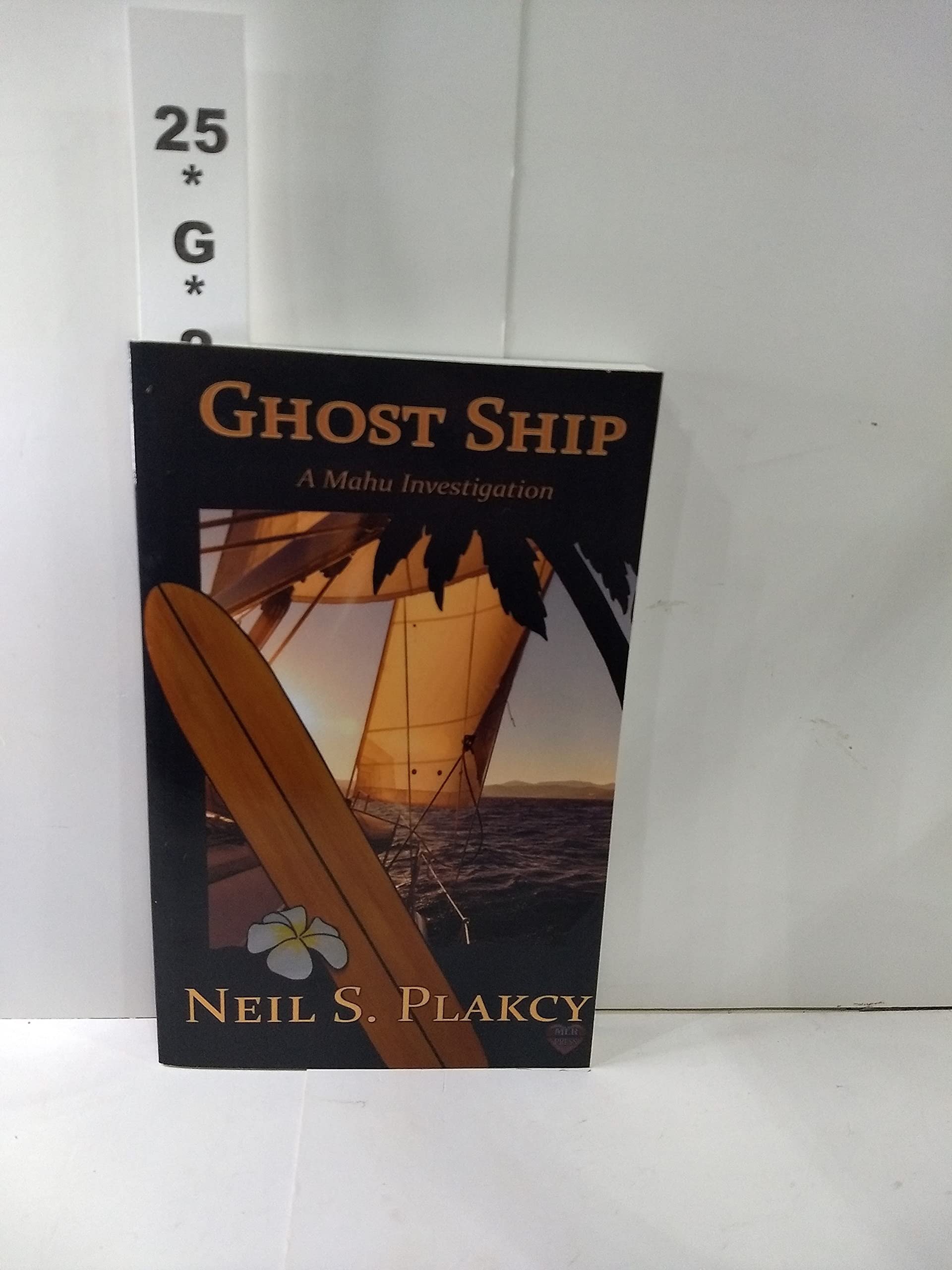 Ghost Ship (Mahu Investigations, Band 10) LGBTQ+