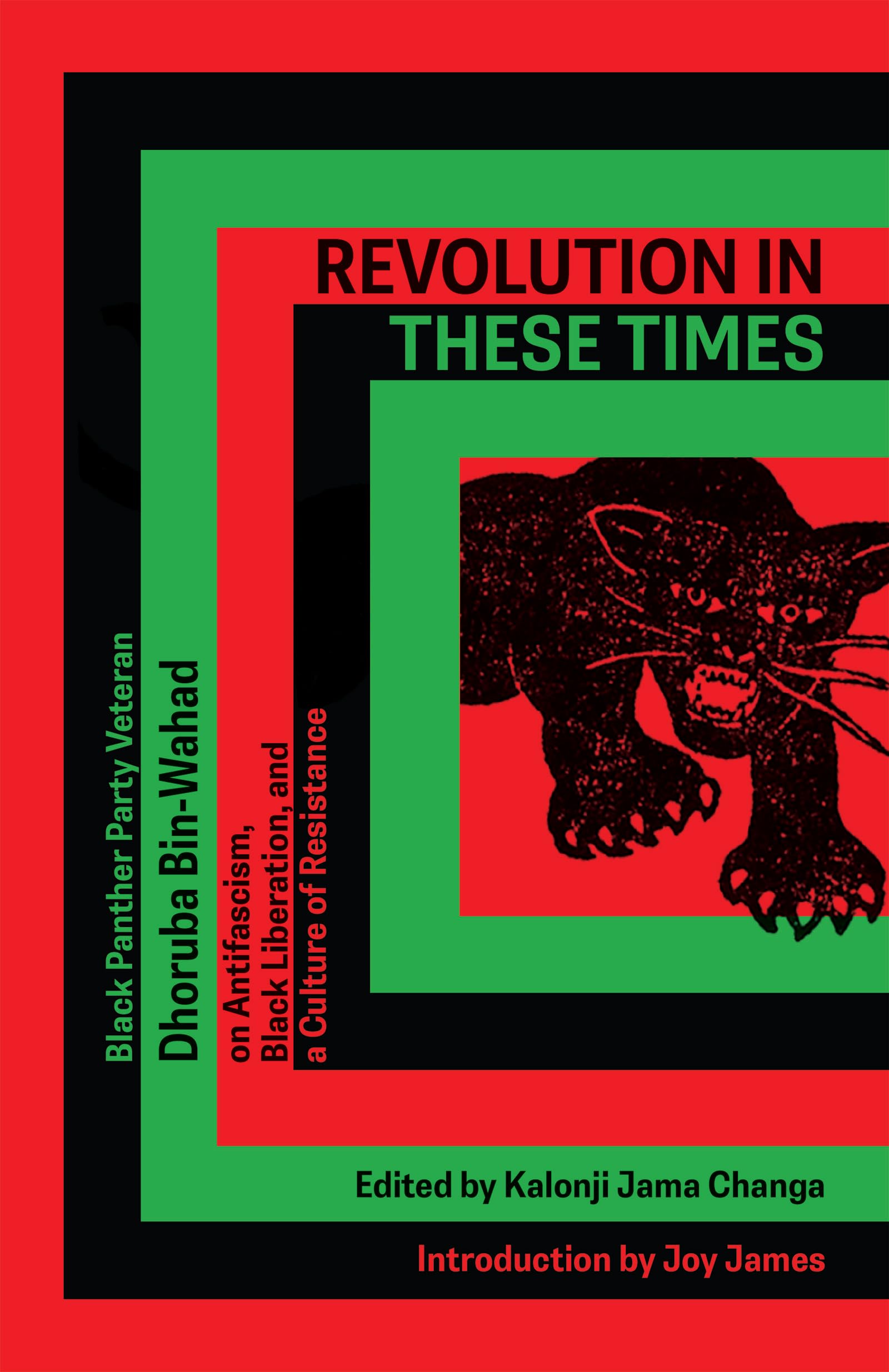 Revolution In These Times: Black Panther Party Veteran Dhoruba Bin Wahad on Antifascism, Black Liberation, and a Culture of Resistance Books