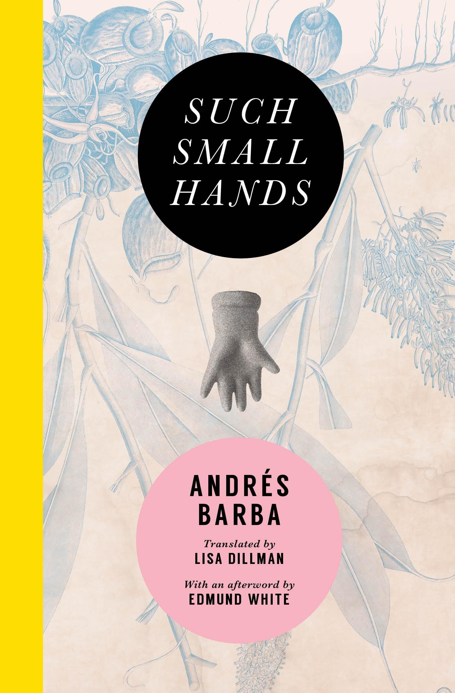 Such Small Hands Historical Fiction