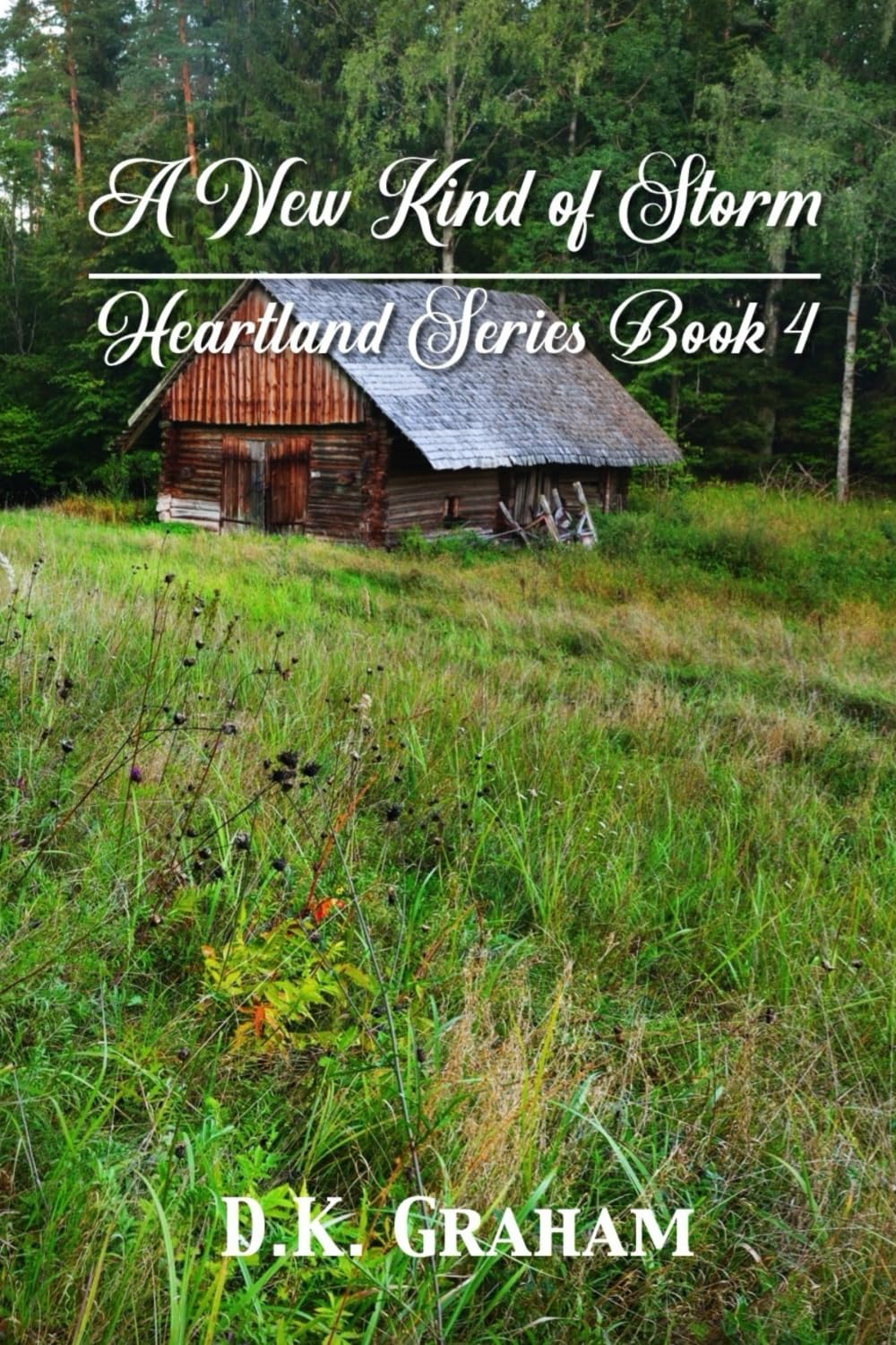Heartland: A New Kind of Storm Contemporary literature