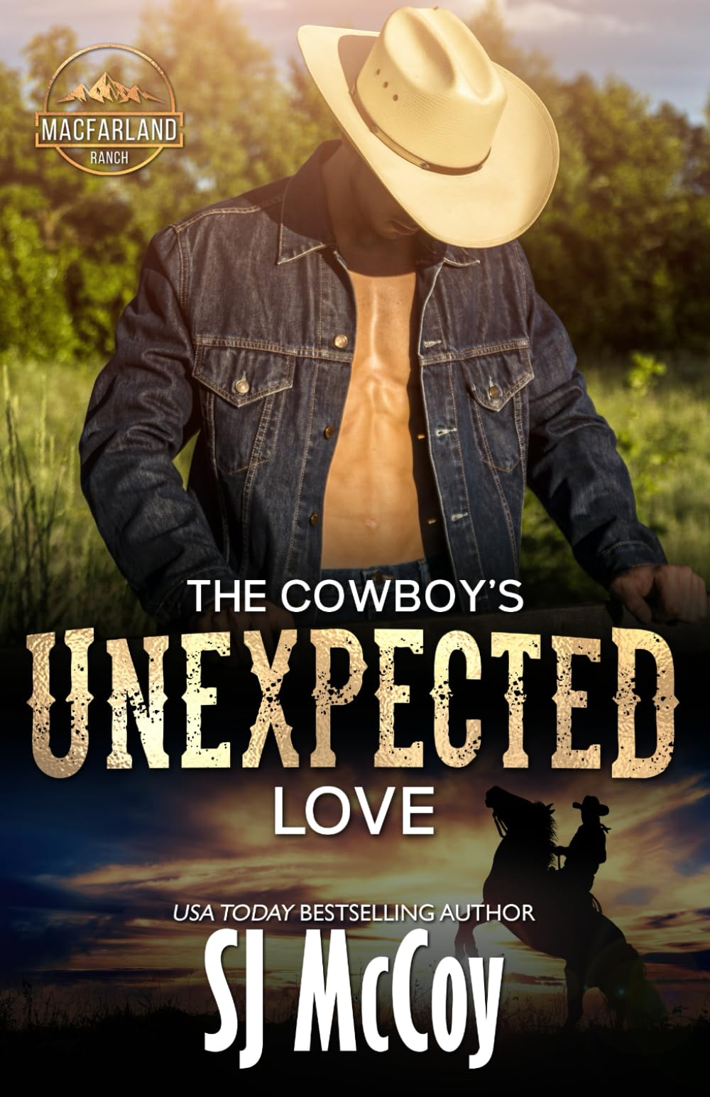 The Cowboy's Unexpected Love: Wade and Sierra (MacFarland Ranch, Band 1) Contemporary literature
