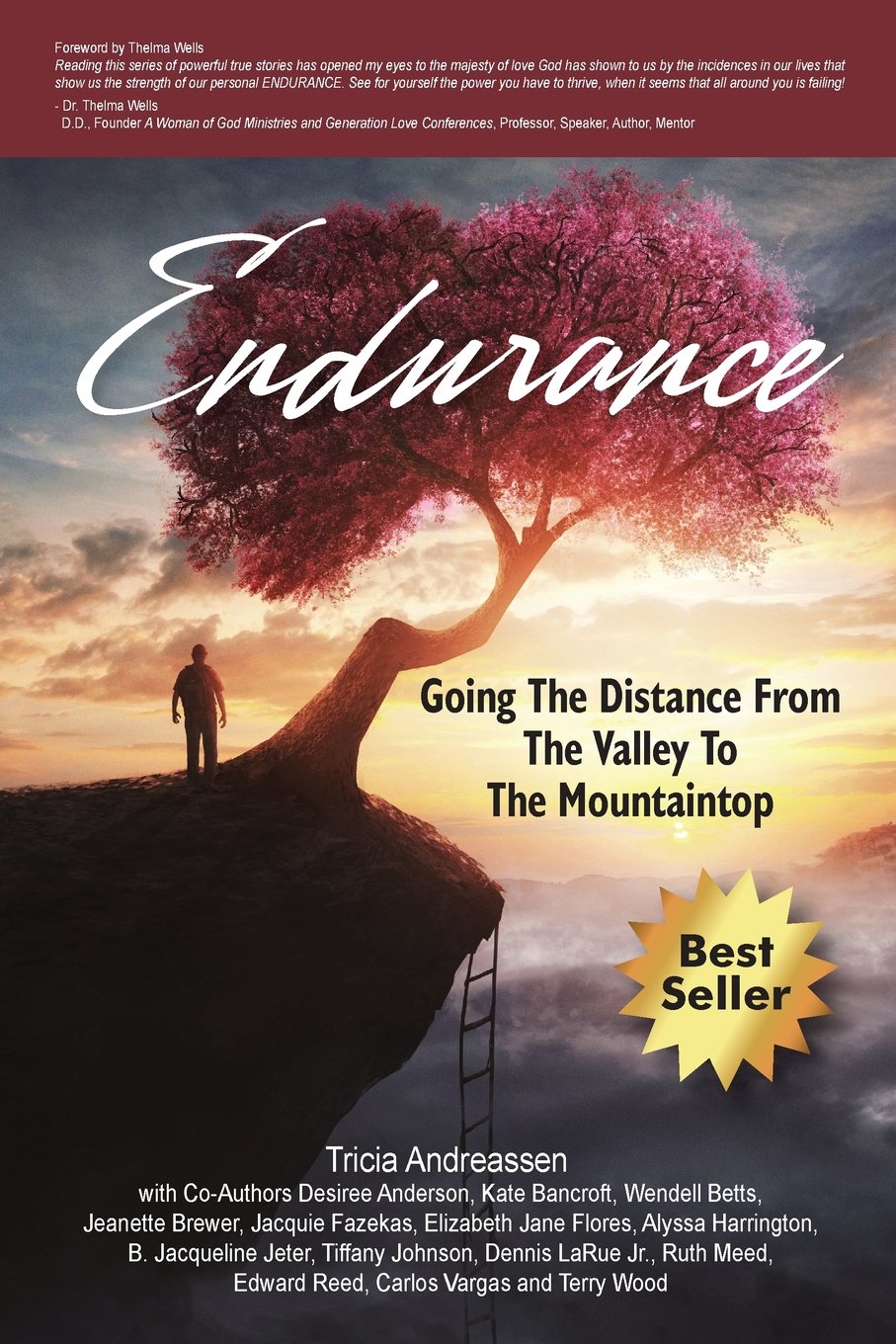 Endurance: Going The Distance From The Valley To The Mountaintop (Warrior Series) Social Sciences