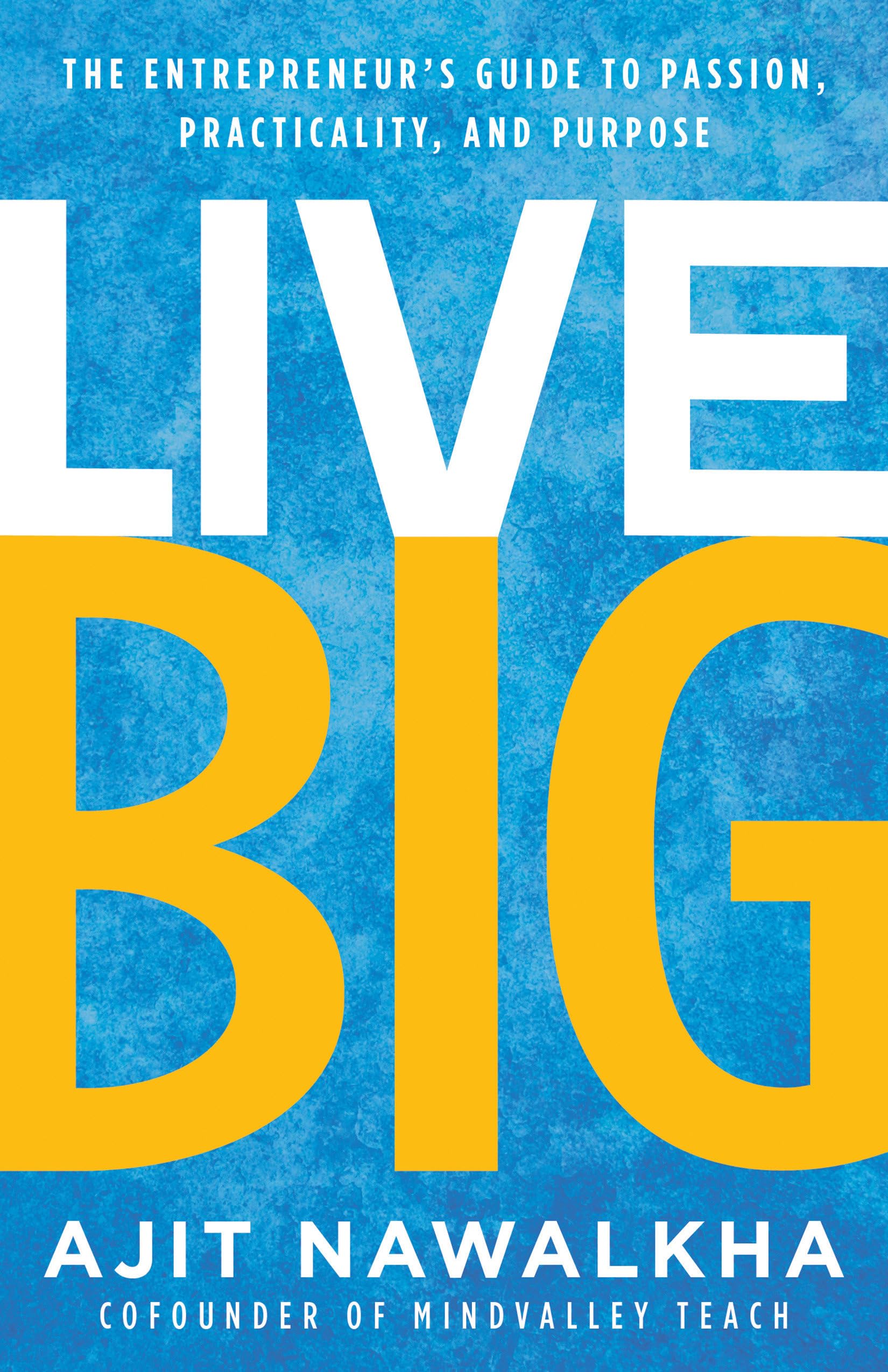 Live Big: The Entrepreneur's Guide to Passion, Practicality, and Purpose book