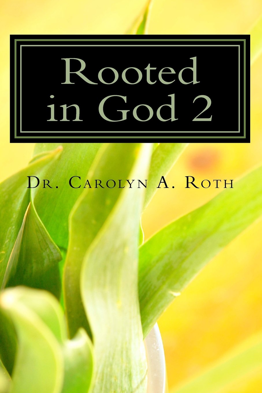 Rooted in God 2: Decoding Bible Plants for 21st Century Life (Bible Plants Series, Band 1) Social Sciences