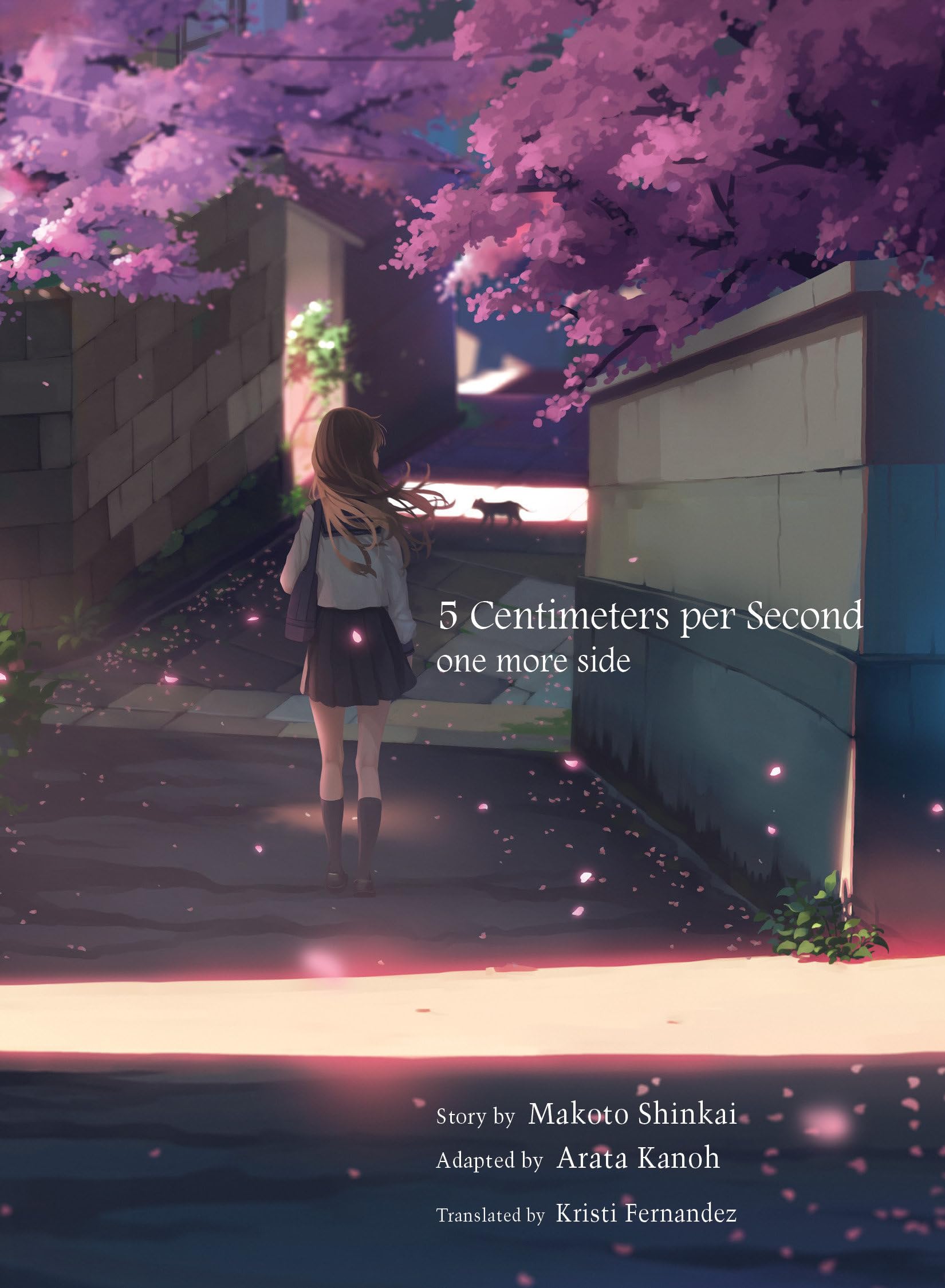 5 Centimeters Per Second: one more side Contemporary literature Books