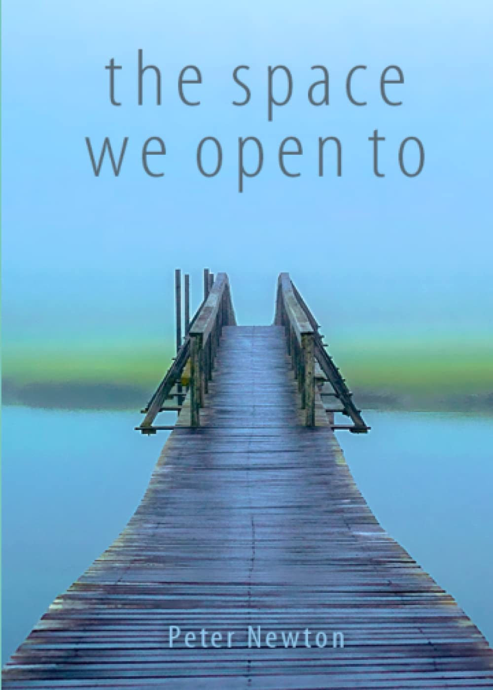 the space we open to: Haiku of Peter Newton Poetry