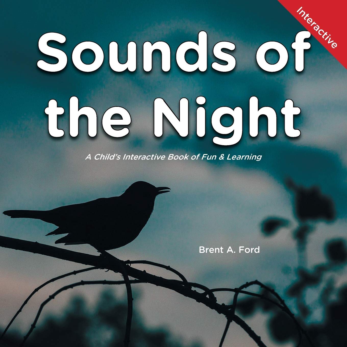 Sounds of the Night: A Child's Interactive Book of Fun & Learning Non-fiction